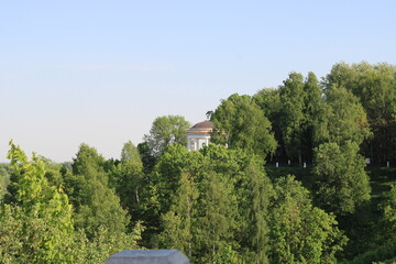 Fototapeta premium trees part of the roof, blue sky,