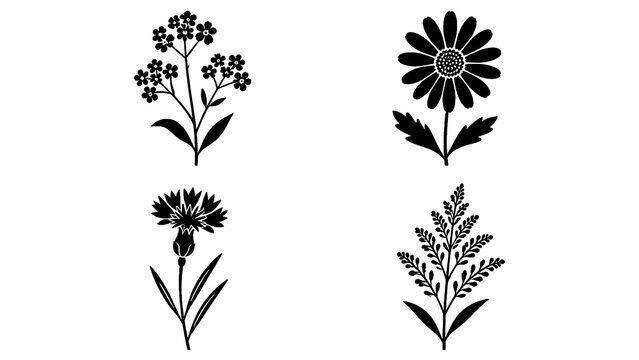Black floral silhouette set with four hand drawn flower stems