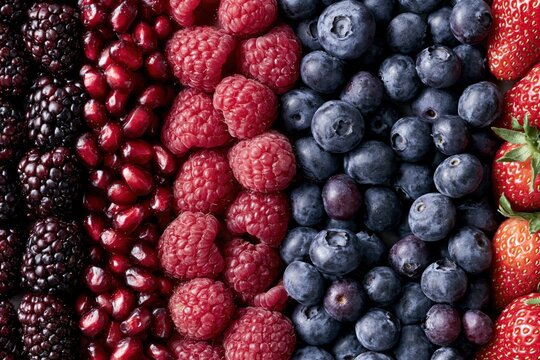 The Vibrant Assorted Berries Array Showcasing Fresh Juicy Fruits in Striking Colors