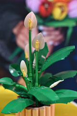 Fototapeta premium Lego flowers 