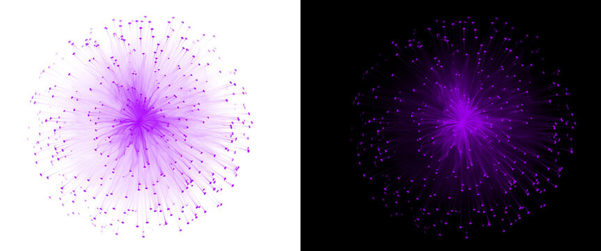 Abstract purple neural network visualization, glowing fiber optic light burst on black and white backgrounds, digital data connection concept