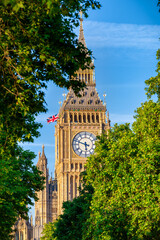 Obraz premium Close-up view of the Big Ben tower in London during summer sunrise with lush foliage in morning sunlight
