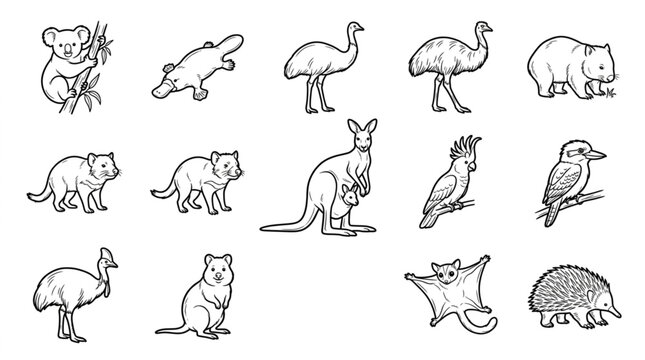 Collection of Australian Wildlife Illustrations in Sketch Style.
