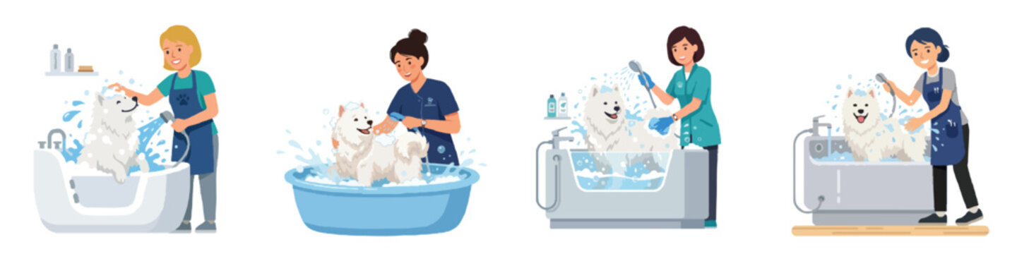 A professional female groomer bathing a fluffy white Samoyed dog in a modern tub, water splashes, flat design, minimalistic, no outline, clear facial features, isolated on a solid white background.
