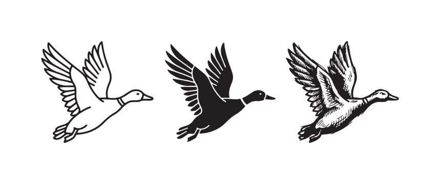 Flying duck icon set in outline, solid, and hand-drawn styles.
