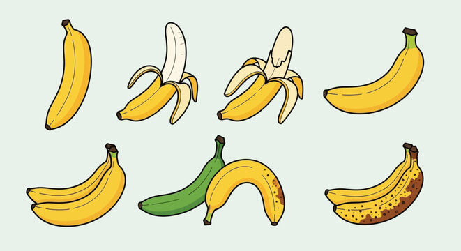 Variety of Bananas: Ripe, Unripe, and Peeled, Illustrated Collection