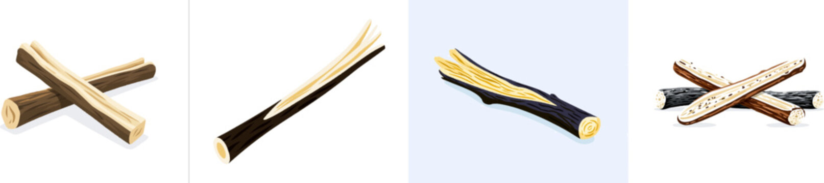 A roasted dandelion root is depicted in flat vector style, split lengthwise to reveal its dark woody exterior and cream-colored fibrous core against a solid white background