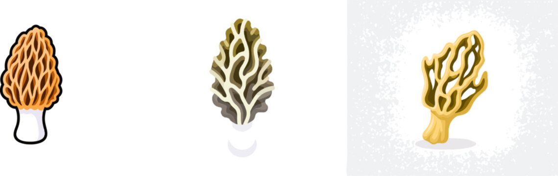 A flat vector illustration of a wild morel mushroom features its distinctive cerebriform surface with deep cream and tan honeycomb ridges and sponge-like hollows, isolated on a solid white background