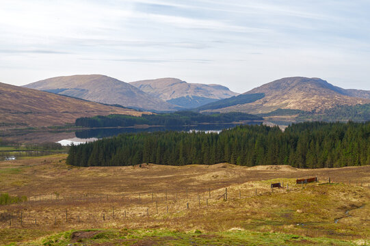 Paysage des Highlands &eacute;cossais avec loch et for&ecirc;t de conif&egrave;res