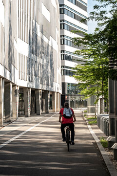 A cyclist rides a bicycle along a Vienna street, where urban architecture, facade, trees, sidewalk and city light define the route ahead