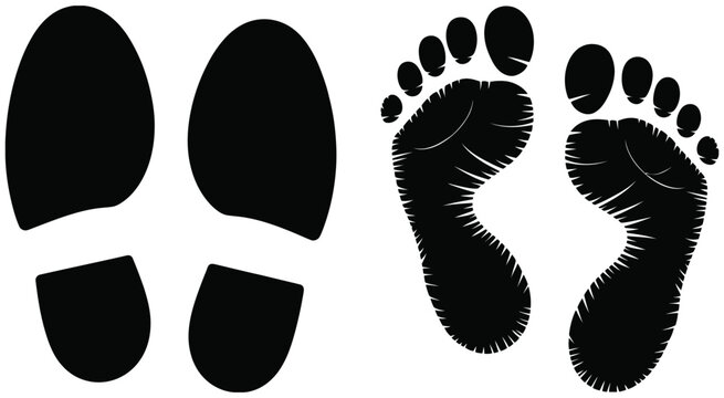 Footprints and feet illustration set featuring bare feet, toes, shoe prints and walking track outlines in vector style.