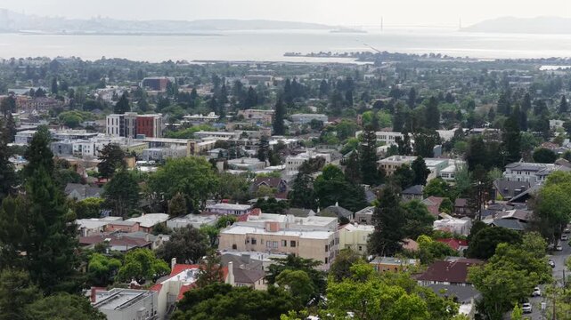 Dense tree-lined residential neighborhoods of Berkeley spread toward San Francisco Bay with downtown core and lush spring canopy under overcast skies, California, USA. Aerial drone wide shot.
