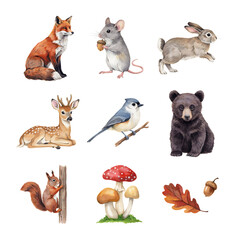 Fototapeta premium Forest animals including a fox, mouse, rabbit, deer, bird, bear, and squirrel appear as a decorative collection of woodland creatures arranged on a clean white background.
