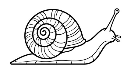 Snail crawling slowly, black and white illustration, isolated white background © Rifki