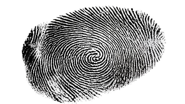 Black fingerprint with spiral pattern on white