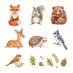 Fototapeta premium Woodland collection features a fox, squirrel, bear, deer, hedgehog, birds, and forest foliage in a detailed watercolor composition.
