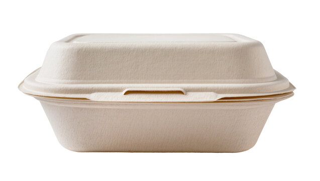Disposable paper food container with lid