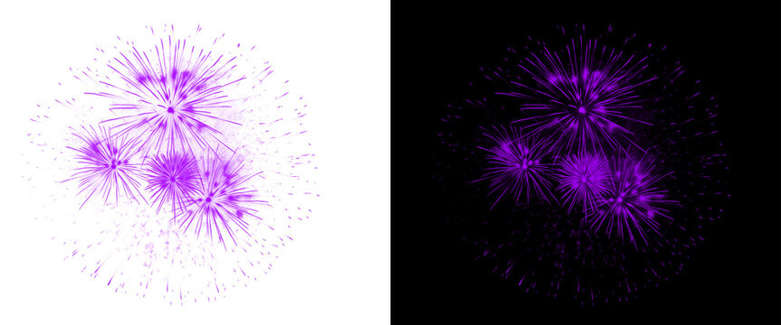 Purple fireworks explosion set on black and white backgrounds, vibrant violet pyrotechnic burst, festive firework display for celebration design