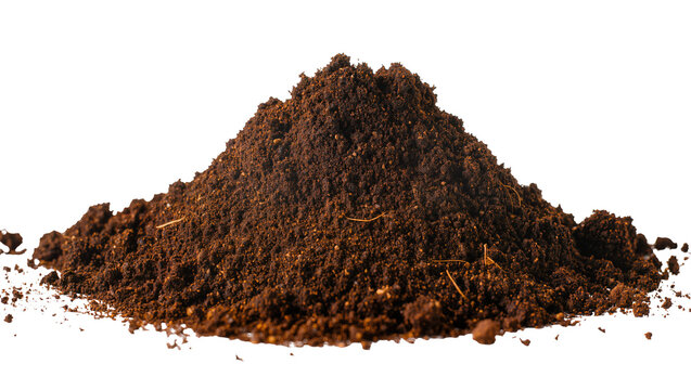 Pile of dark brown soil with visible texture and small debris