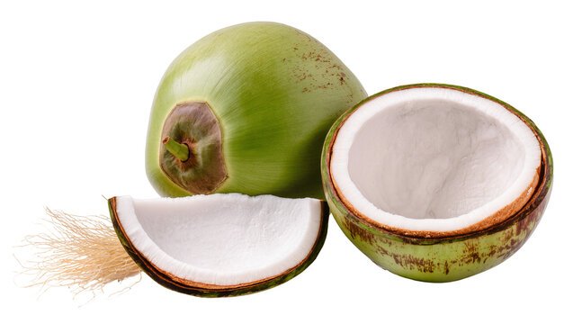 Whole green coconut with cut pieces showing white flesh