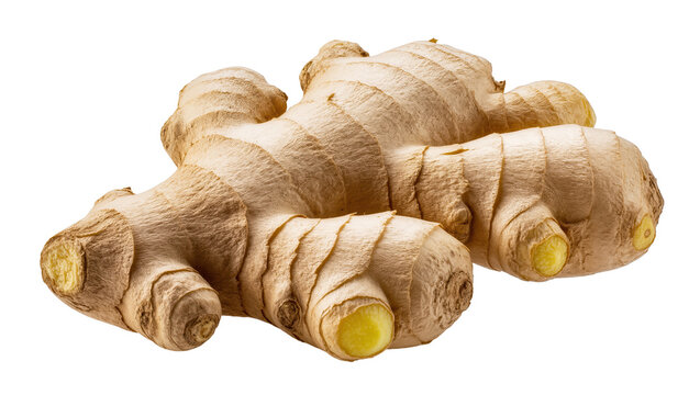 Raw ginger root with textured skin, isolated on transparent background