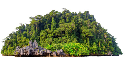Lush green tropical island with rocky shore and dense jungle vegetation © Lukas