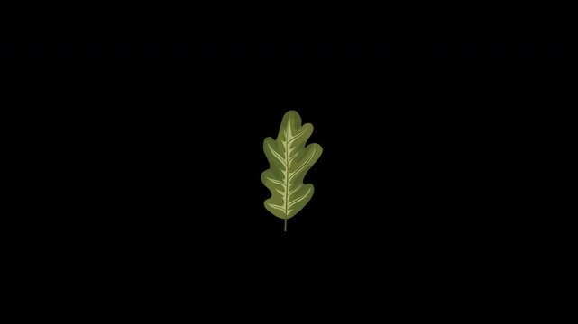 Green Floral Elegant showing organic leaf growth and gentle movement Animation
