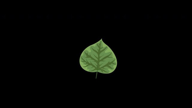 Floral Elegant Green featuring heart shaped leaf motion Animation