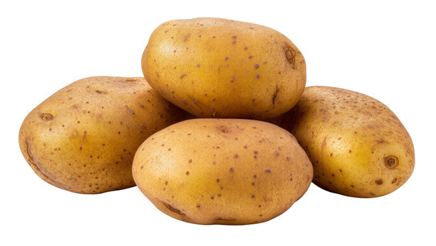 Group of four raw potatoes with brown skin and eyes