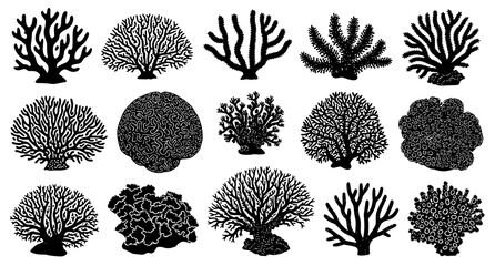Black coral reef silhouettes © Nahid