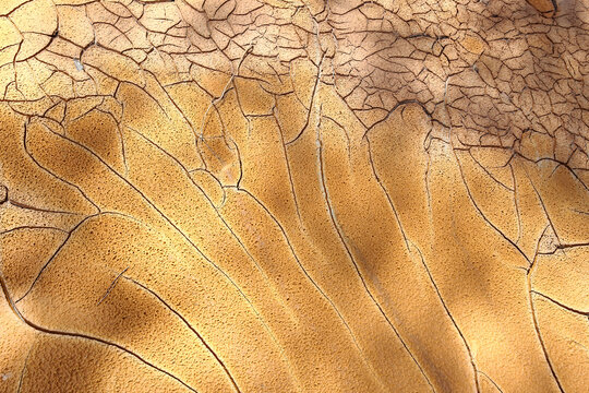 Spain, Andalusia, Rio Tinto, riverside, dried out sand