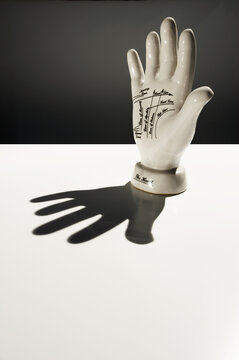 Ceramic palm reading model casting a shadow