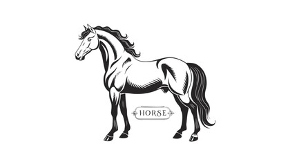 Very beautiful black-and-white engraved vector illustration featuring HORSE standing proudly in full side profile, muscular body structure, flowing mane and tail, detailed coat textures, realistic ana © williamnoah