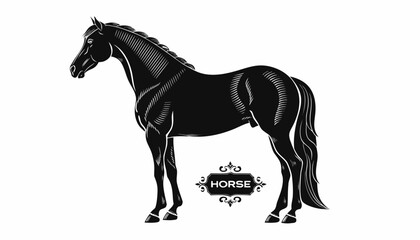 Very beautiful black-and-white engraved vector illustration featuring HORSE standing proudly in full side profile, muscular body structure, flowing mane and tail, detailed coat textures, realistic ana © williamnoah