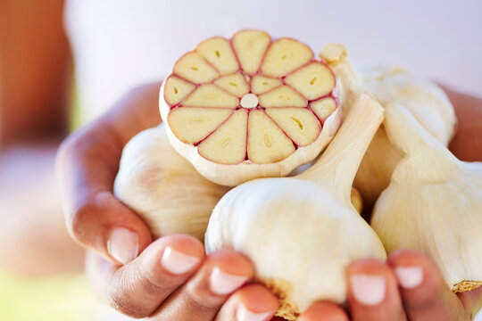 Woman's hands holding whole and sliced garlic bulbs