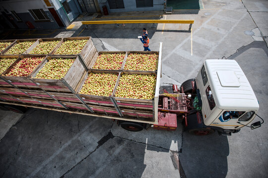 Truck transporting apples