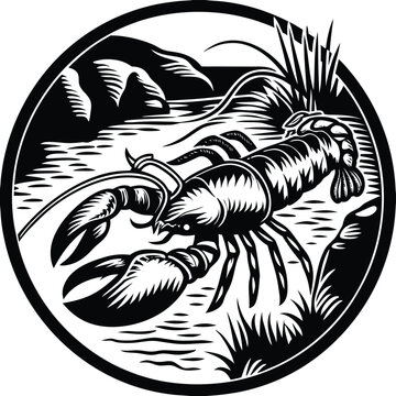 Black and white crayfish detailed ink crustacean claws