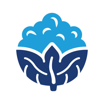 Cauliflower icon
