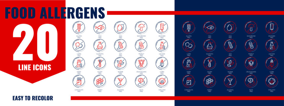 Allergen free food icons, allergy ingredient line pictograms, showing gluten, peanut, shellfish, dairy and egg, soy, mustard and sesame triggers for menu labels, packaging and dietary information