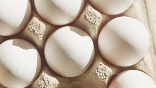 Close-Up White Eggs in Sunlight