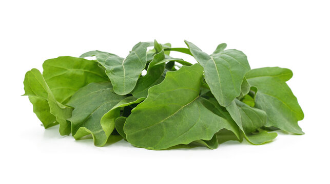 Fresh green sorrel leaves isolated on a white background.