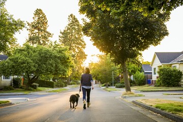 Naklejka premium Person walking dog along quiet suburban street at sunset