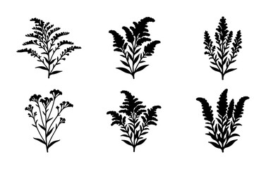 Fototapeta premium Botanical Silhouettes: Wildflower & Fern Vector Elements, Nature Graphics