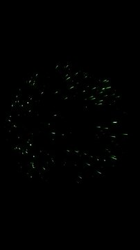 Vertical format single green firework exploding for new year, 4th of july, or celebration videos on black background