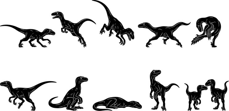 vector can editable Agile dromaeosaurid silhouettes illustrating the predatory speed and cunning of velociraptors