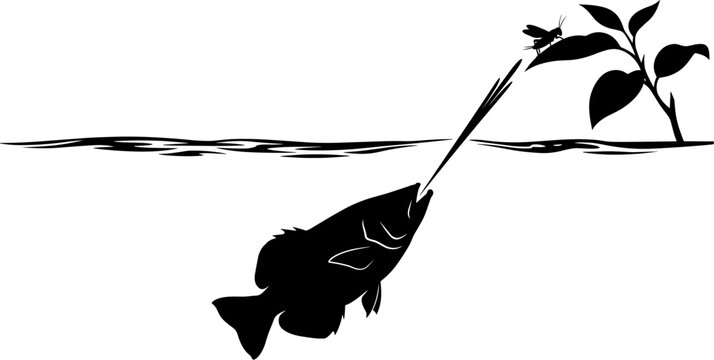 vector can editable Archerfish hunting silhouette shooting water at a cricket on a leaf
