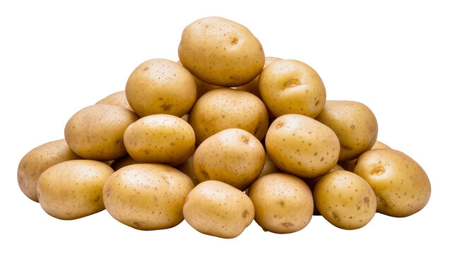 Pile of fresh raw potatoes with brown skin and small eyes