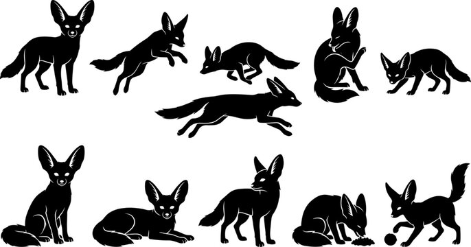 vector can editable Elegant fennec fox silhouette collection in dynamic desert poses
