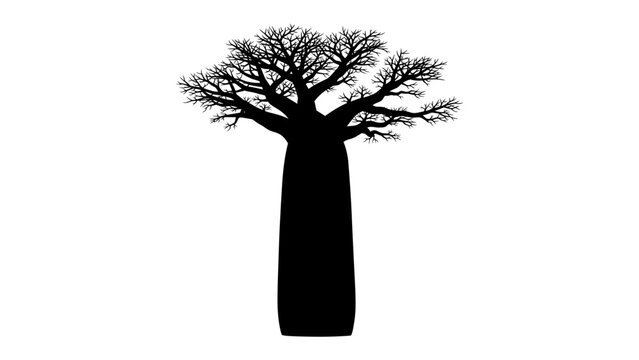 Baobab Tree Silhouette: A striking silhouette of a baobab tree stands tall against a clean white background, its unique, thick trunk and intricate branch structure clearly defined.