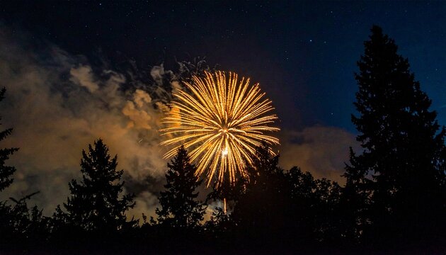 Nighttime Firework Burst with Trees